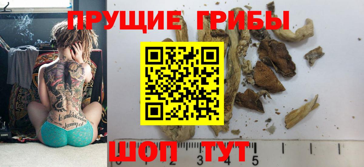 Солнечногорск  Галлюциногенные грибы мухоморы  Псилоцибиновые грибы мицелий  Вход с VPN 