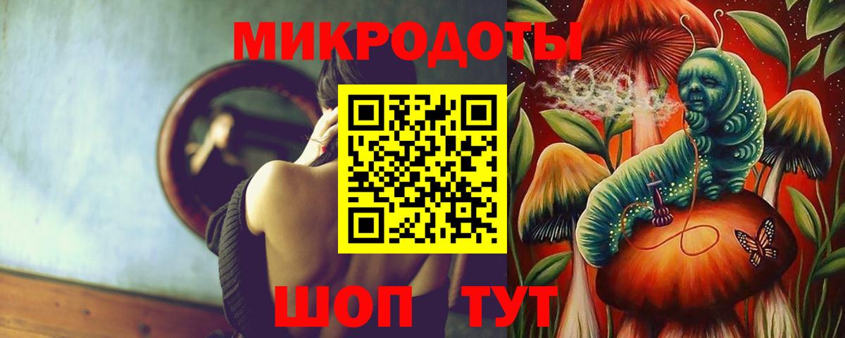 Псилоцибиновые грибы Cubensis Солнечногорск
